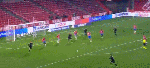 灰熊青年军崛起引发关注