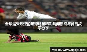 解析德州游骑兵队的重金建队方案如何通过顶级二游组合夺冠