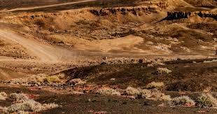 申京31+8+14难救主，杜兰特打铁32分，爵士双星57分率队复仇火箭